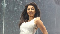 Kajal Latest Photo Stills